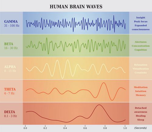 brain-waves-chart